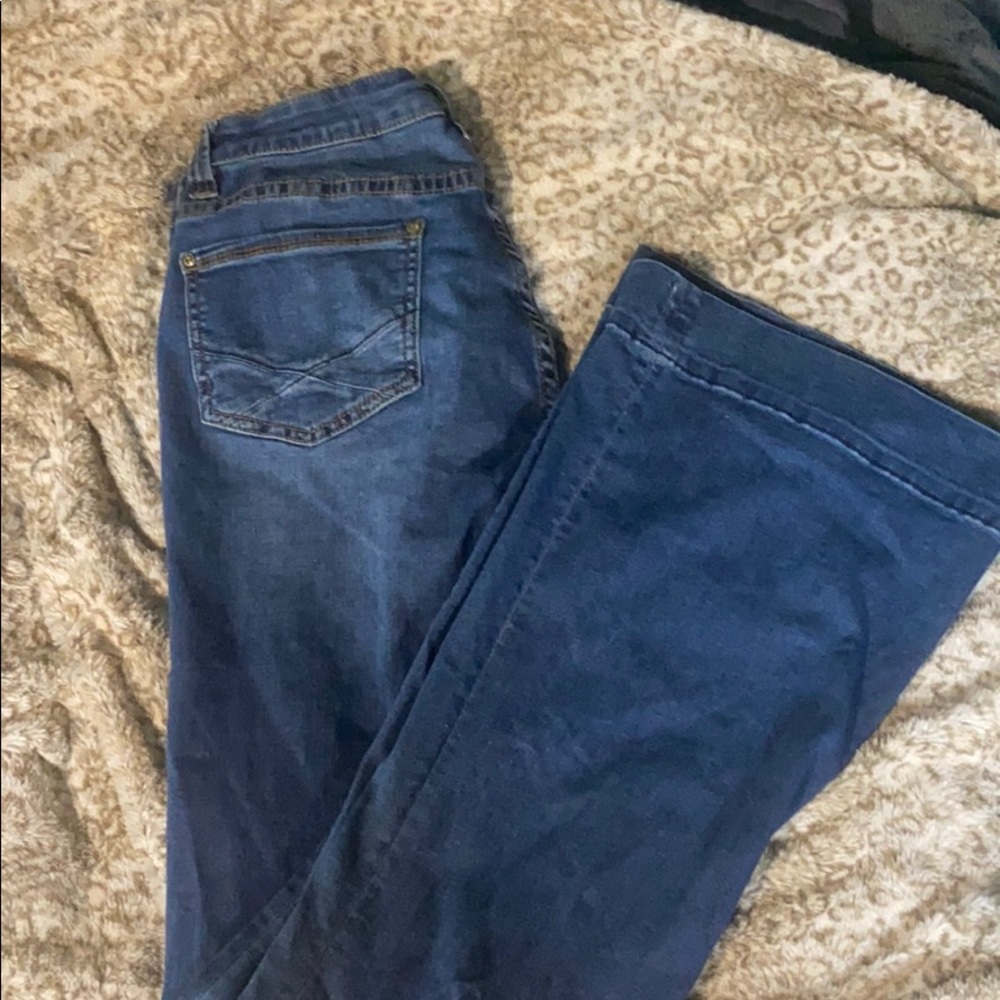 Rock & Roll Cowgirl Flare Jeans